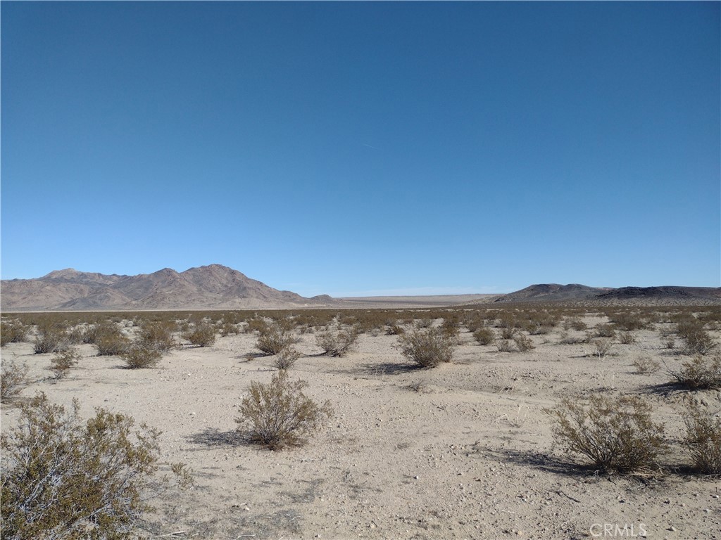 25 Dune (near) Road, Lucerne Valley, CA 92356 — photo 1