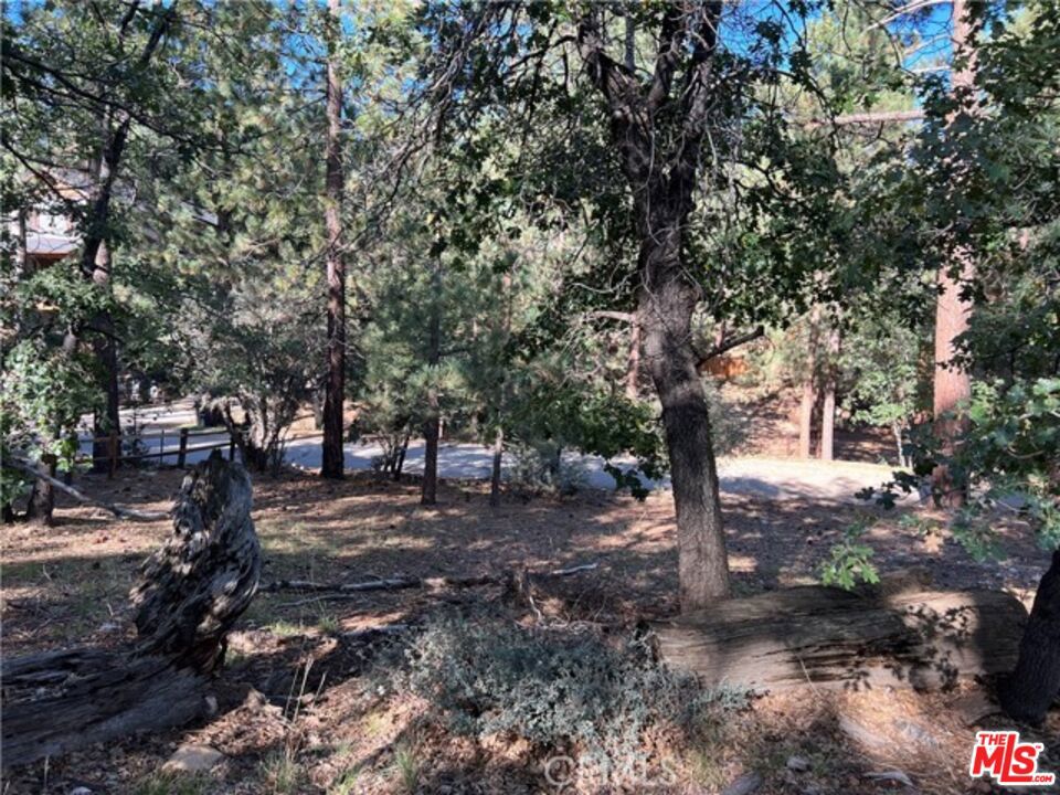 0 Kern Avenue, Sugarloaf, CA 92386 — photo 1