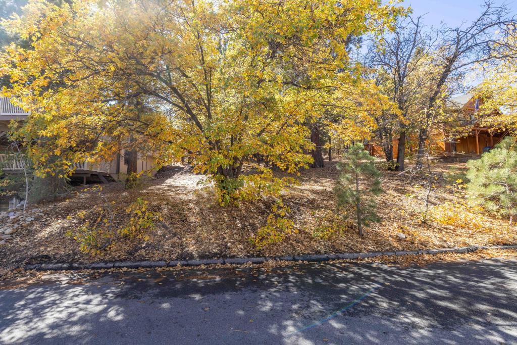 1409 Klamath Road, Big Bear, CA 92314 — photo 1