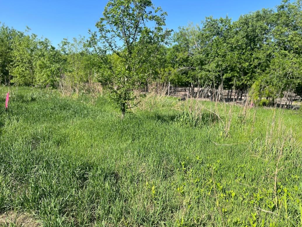 W Brook St(Lot #2, Bk 72) Brook, Bartlett, TX 76511 — photo 1