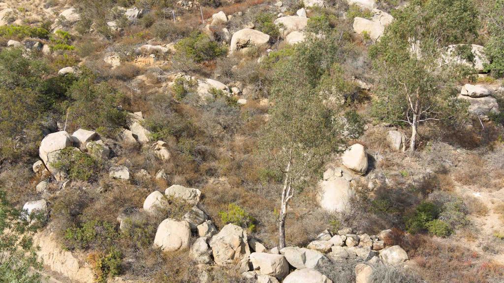 Lot 55 Welcome View, Escondido, CA 92026 — photo 1