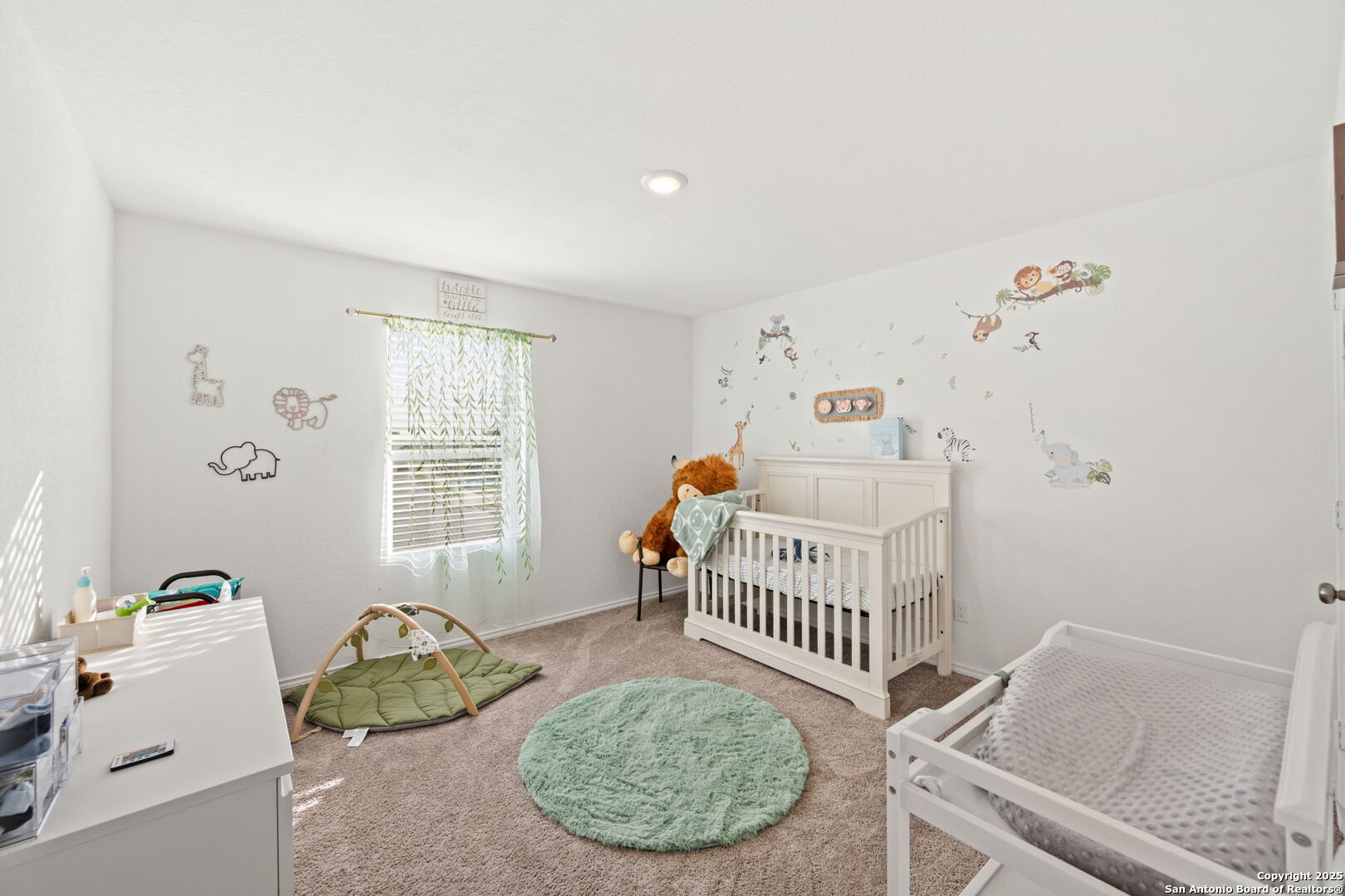 10707 SWEEPBACK TRL, ,  78109 — photo 1