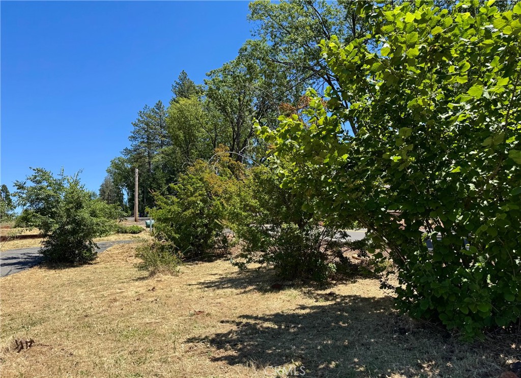 925 Wagstaff Road, Paradise, CA 95969 — photo 1