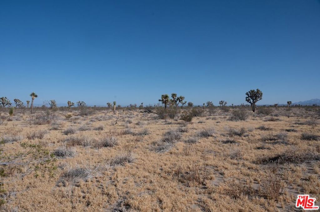 0 Pansy, Adelanto, CA 92301 — photo 1