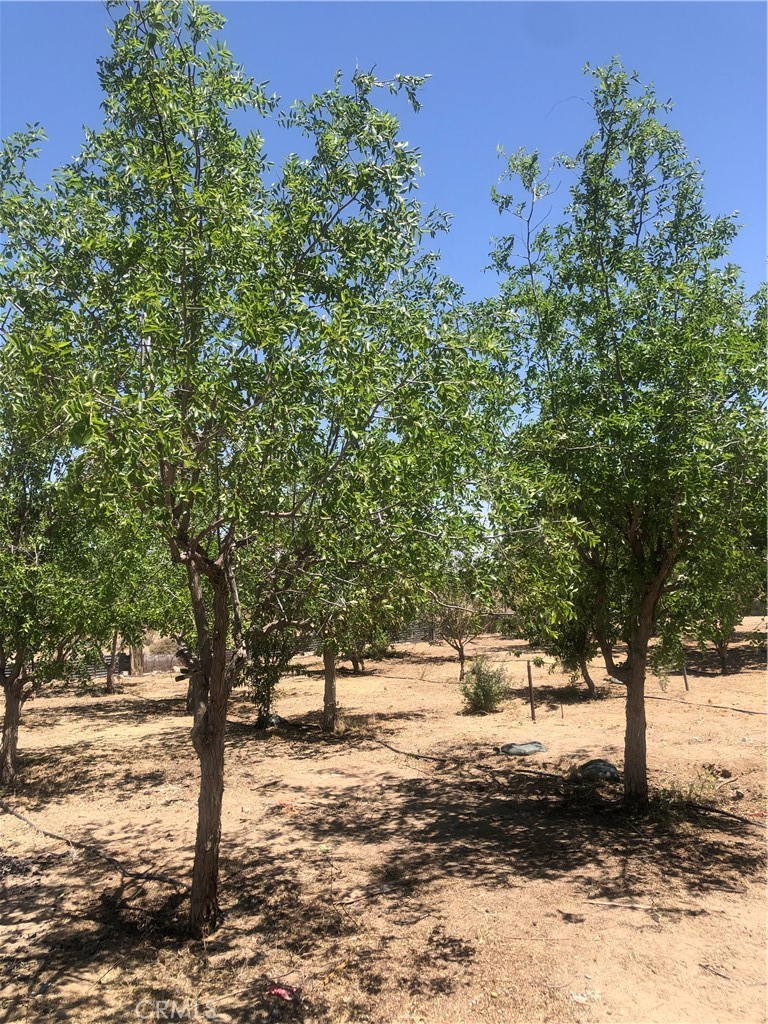 32726 Agate Road, Lucerne Valley, CA 92356 — photo 1