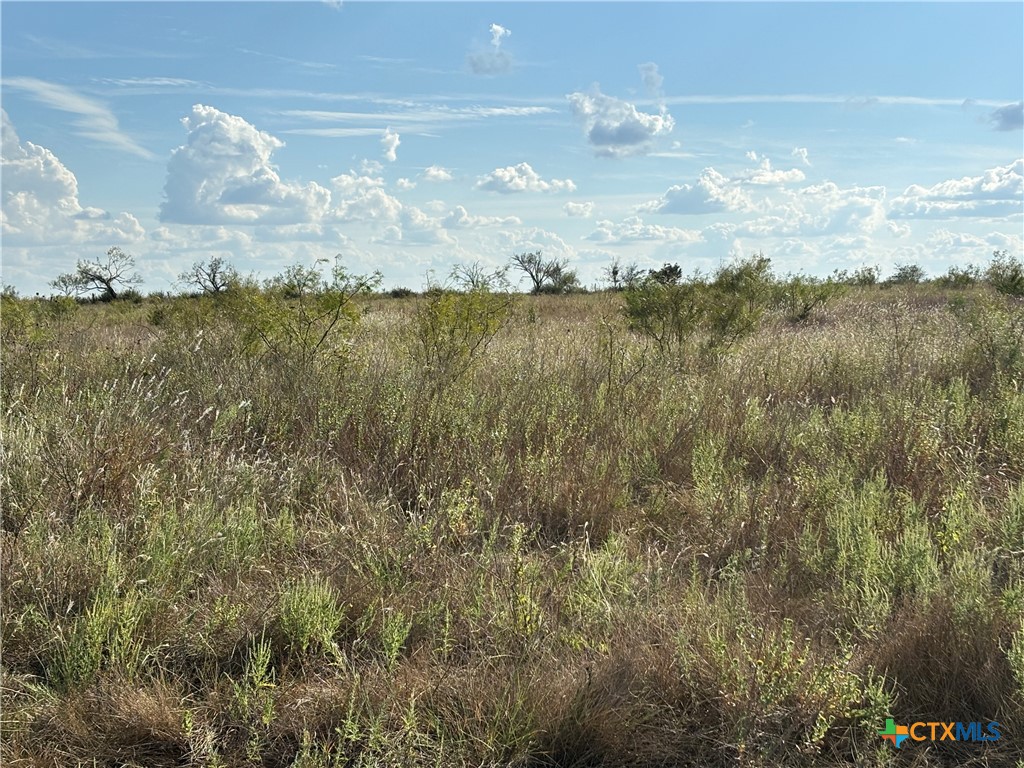 Lot 32 Homestead Dr., Lampasas, TX 76550 — photo 1