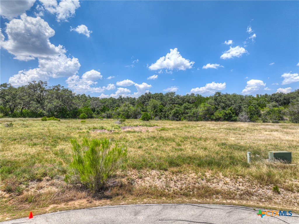 2121 Camino Way, Canyon Lake, TX 78133 — photo 1