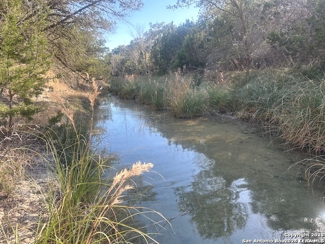 000 E Bear Springs, Pipe Creek, TX 78063 — photo 1