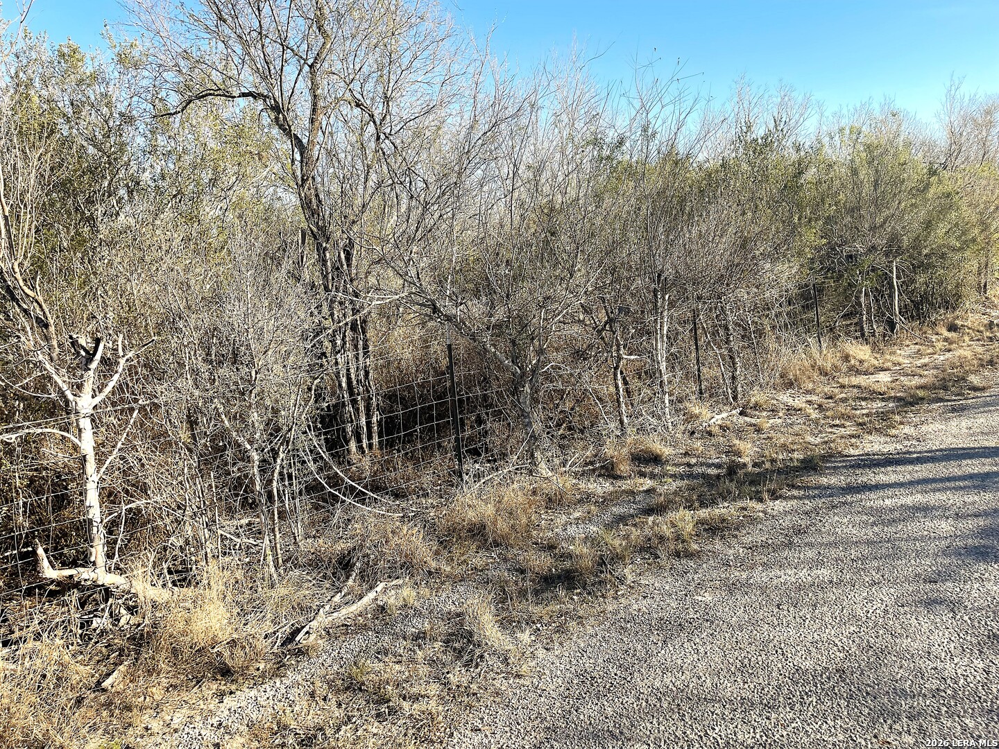 TBD CR 343, , 78102 — photo 1