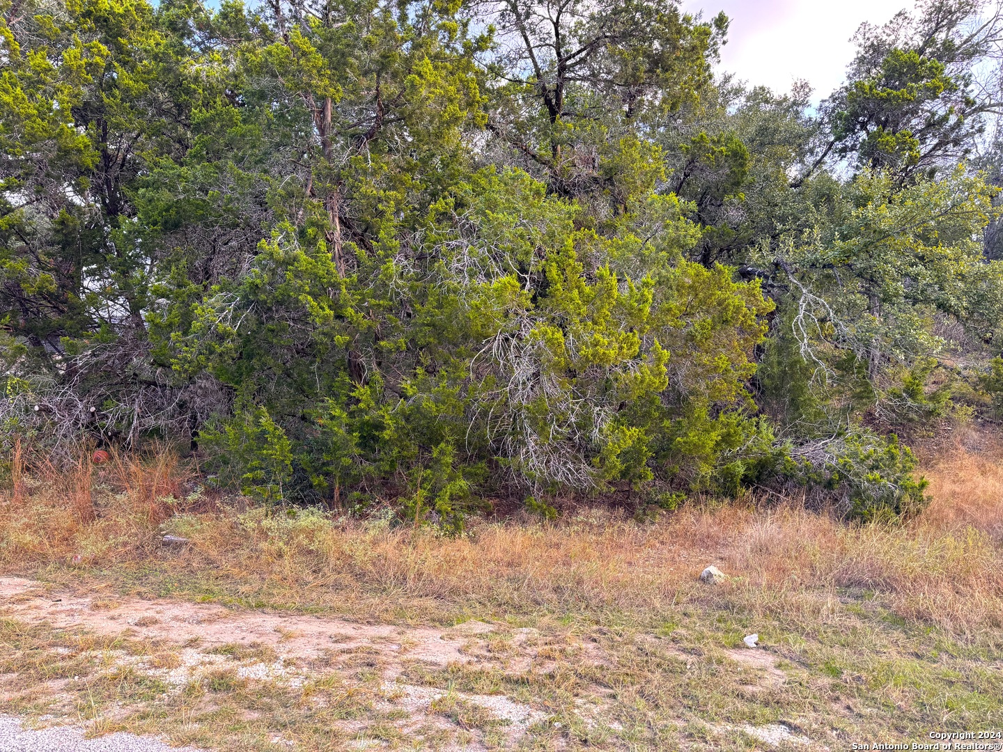 762 & 758 FIREFLY DR, , 78133 — photo 1