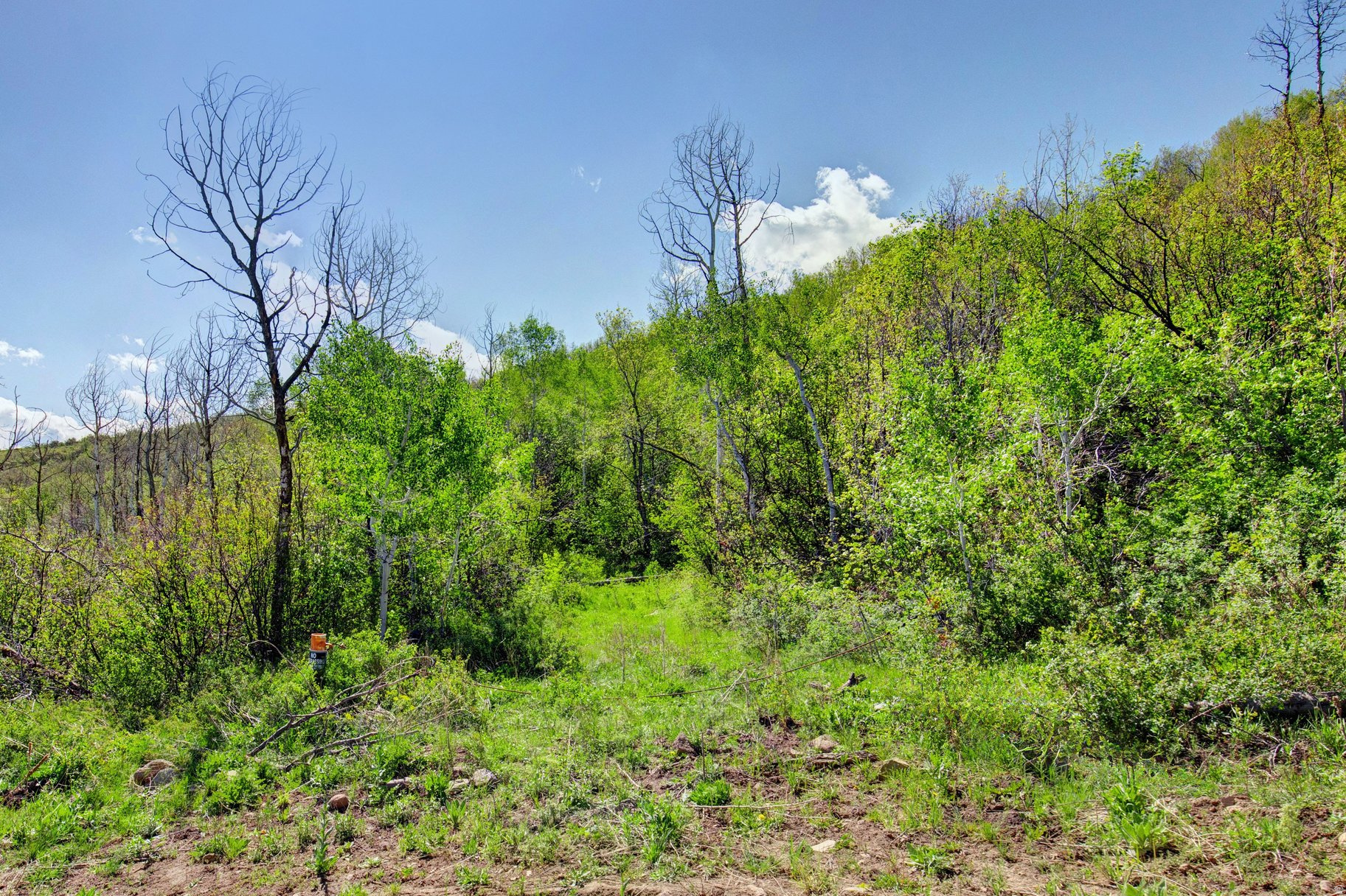 4967 S WOODLAND WAY, Kamas, UT 84036 — photo 1