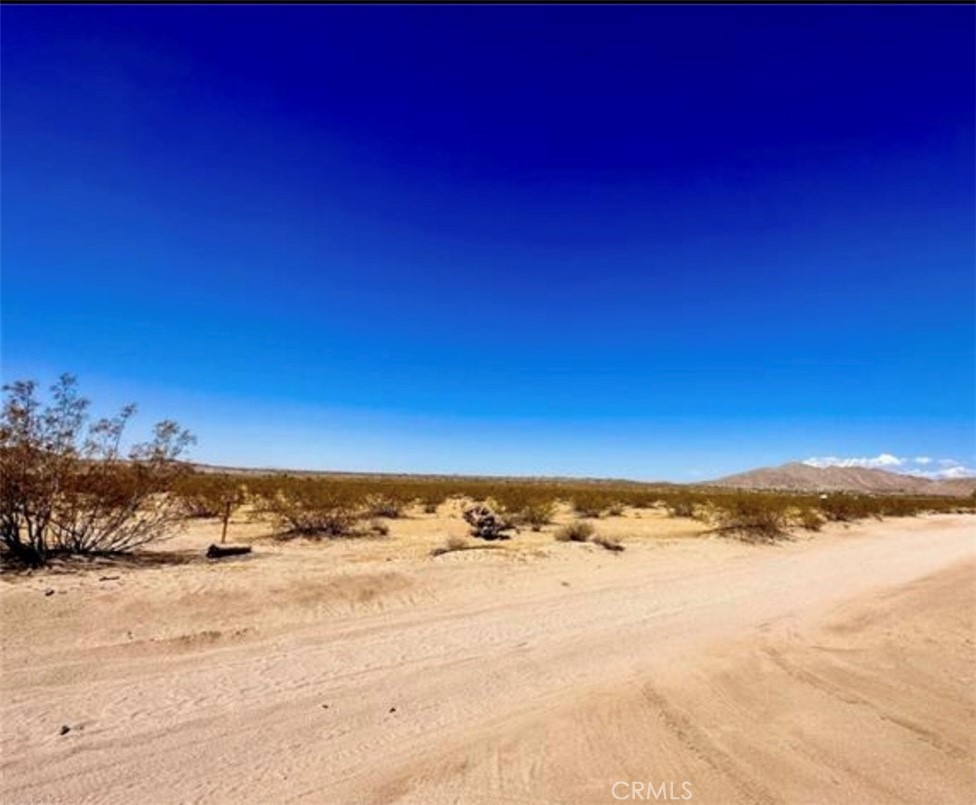 0 Dennis Avenue, Joshua Tree, CA 92252 — photo 1