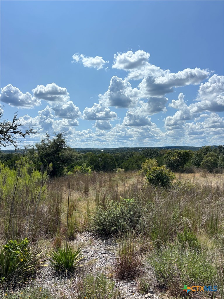 14612 Honeycomb, Leander, TX 78641 — photo 1
