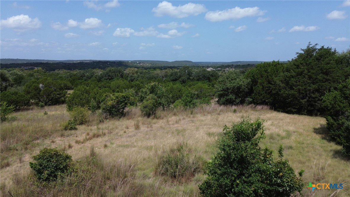 14612 Honeycomb Drive, Leander, TX 78641 — photo 1
