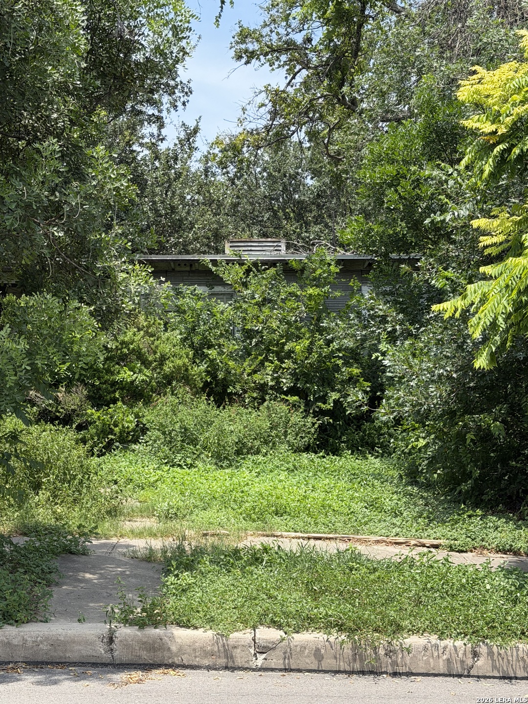 347 Freiling, , 78213 — photo 1