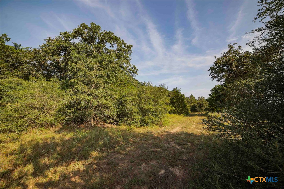 TBD Stiewert Lane, Paige, TX 78659 — photo 1