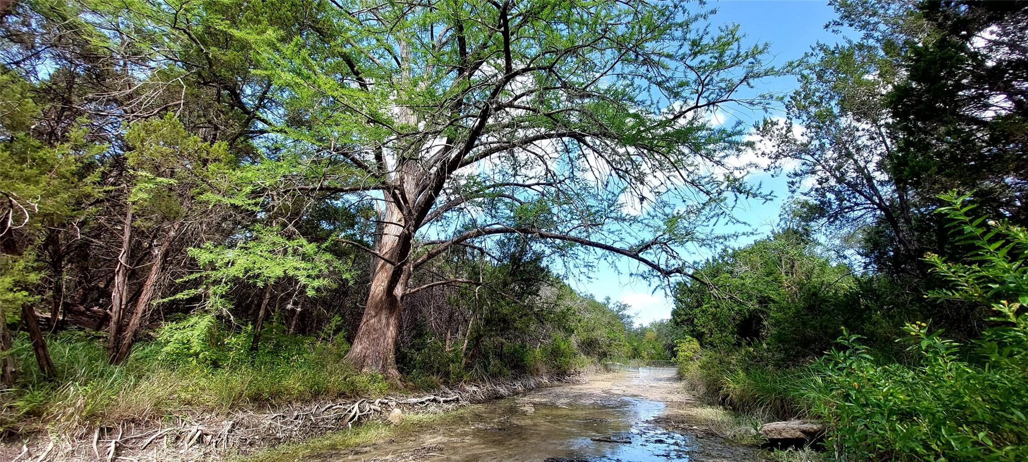 00000 Brinkley, Wimberley, TX 78676 — photo 1