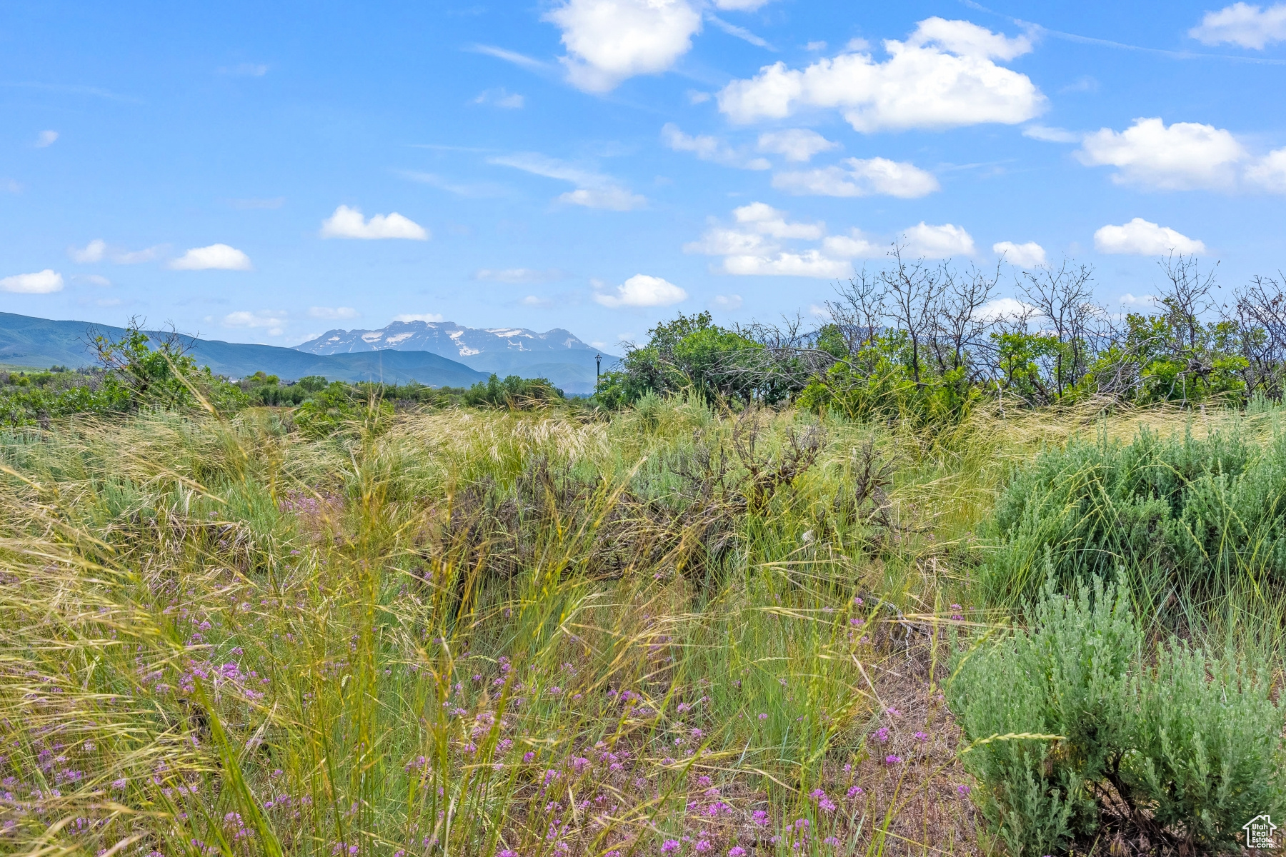 11 S SKYLINE VIEW DR, Heber City, UT 84032 — photo 1