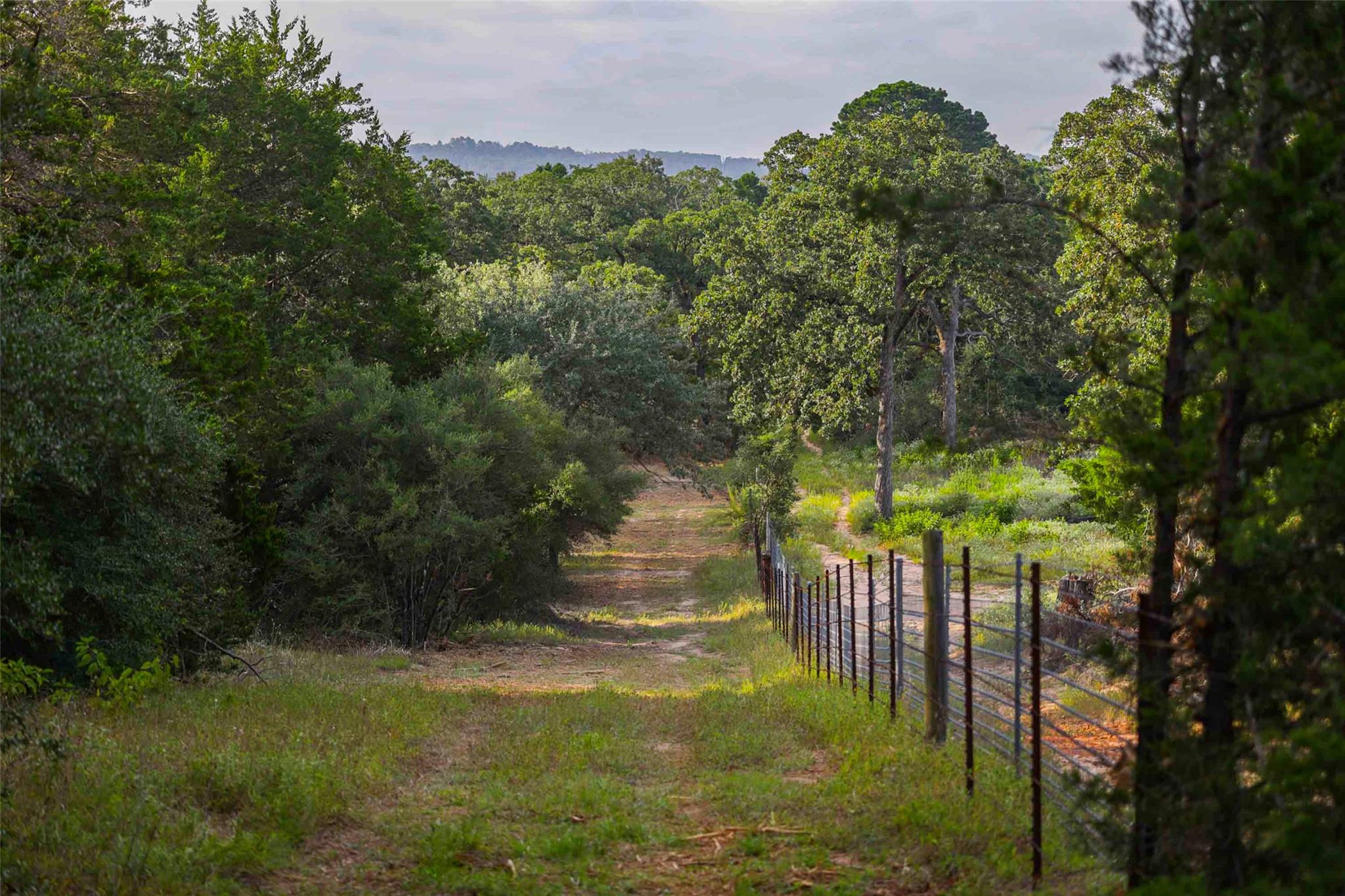 TBD Stiewert Lane, Paige, TX 78659 — photo 1