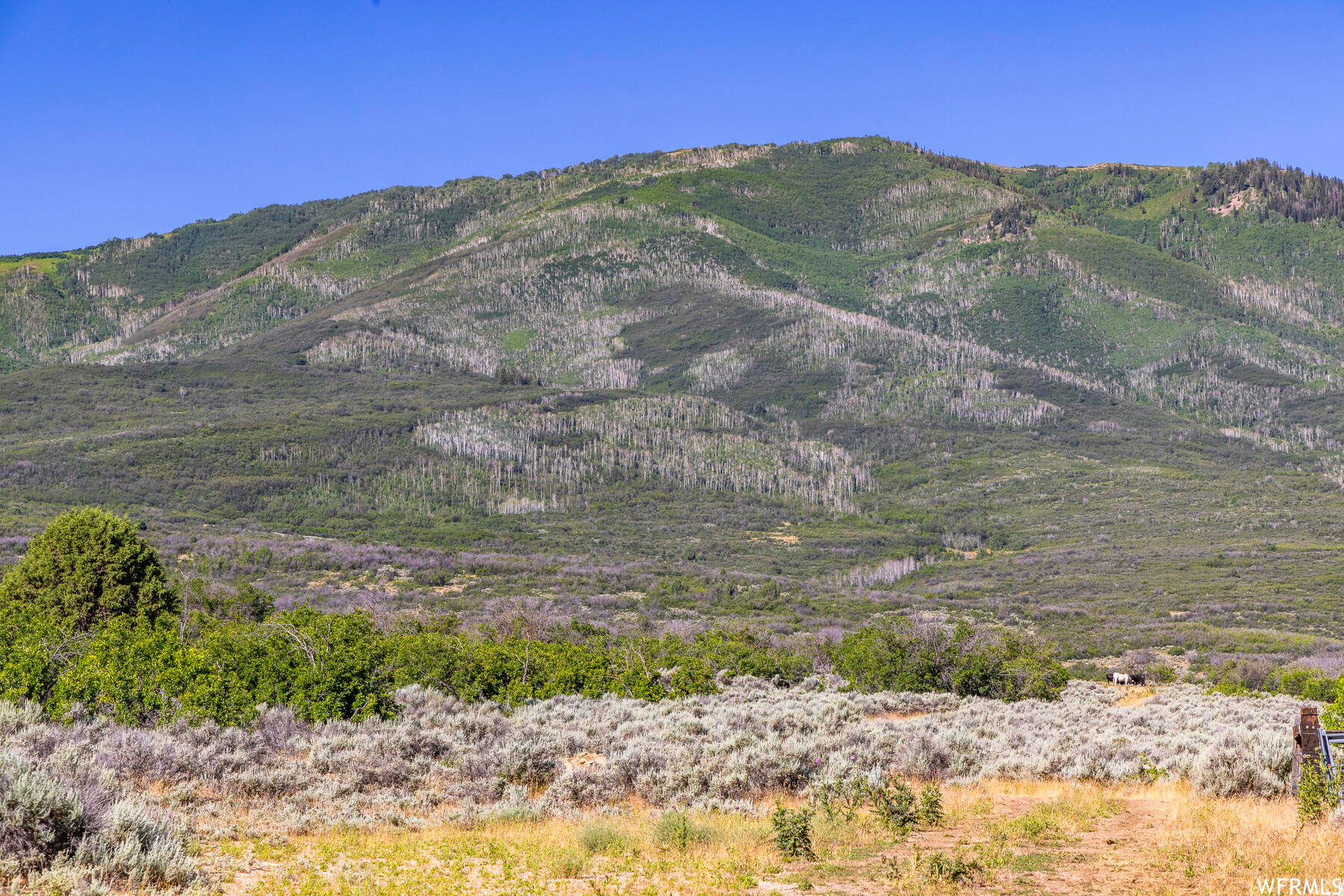 2120 LITTLE VALLEY RD, Wallsburg, UT 84082 — photo 1