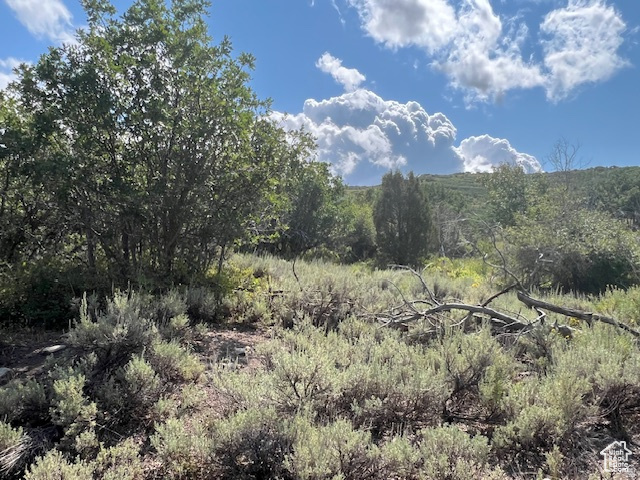 2325 WESTVIEW DR, Heber City, UT 84032 — photo 1
