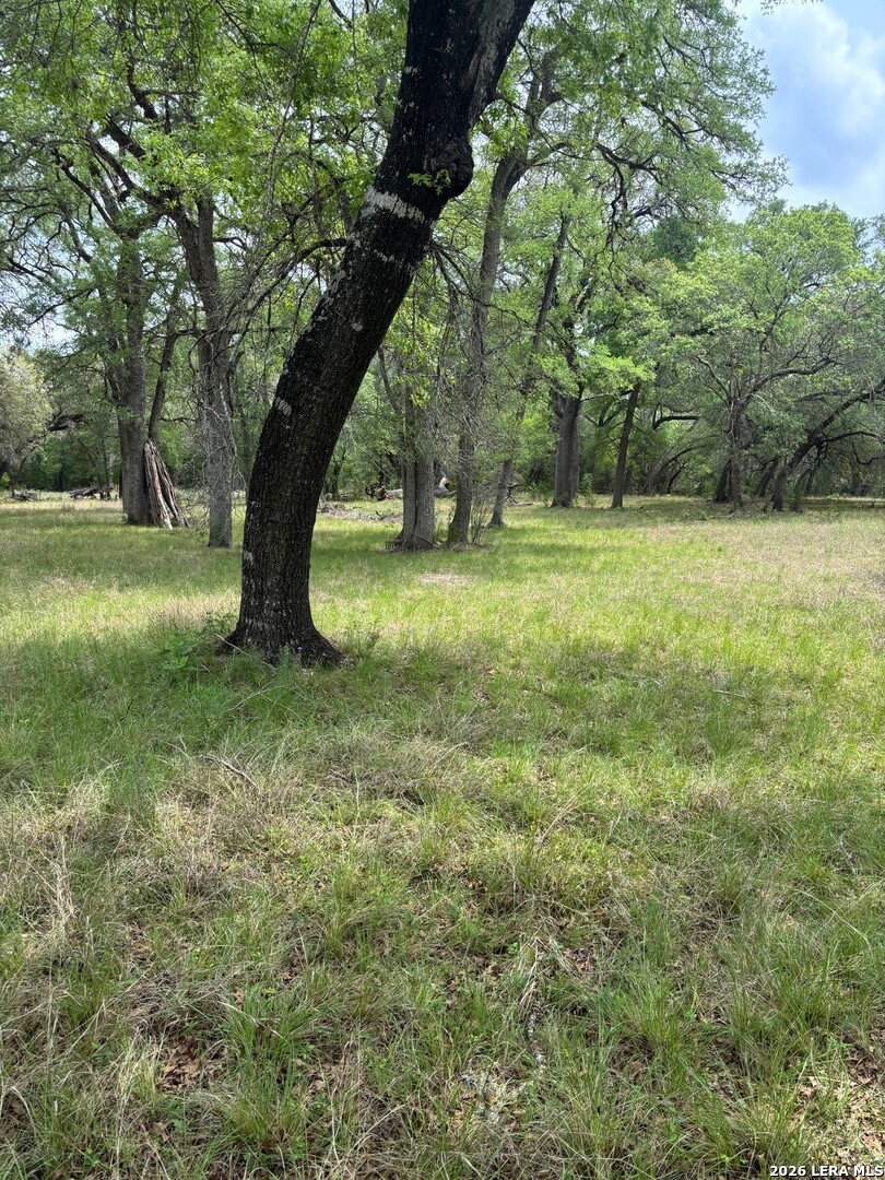 595 CANYON FRST, , 78023 — photo 1
