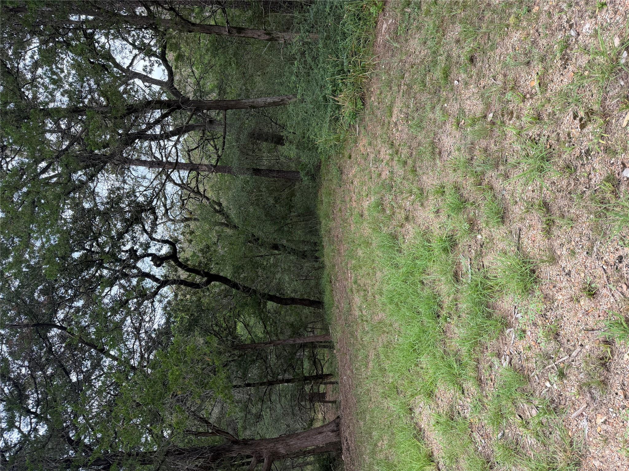 Lot 294 Aka, Bastrop, TX 78602 — photo 1