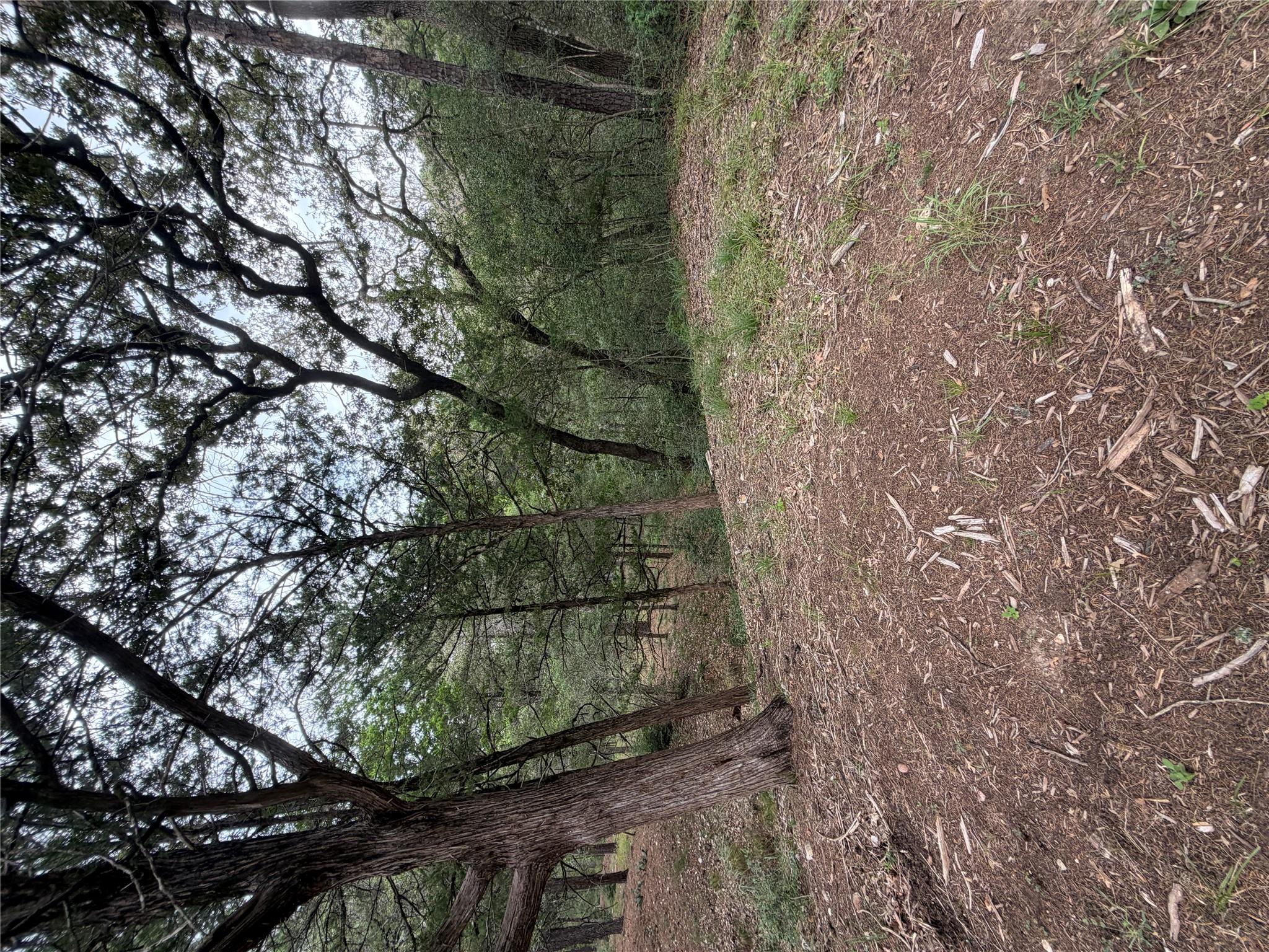 Lot 293 Aka, Bastrop, TX 78602 — photo 1