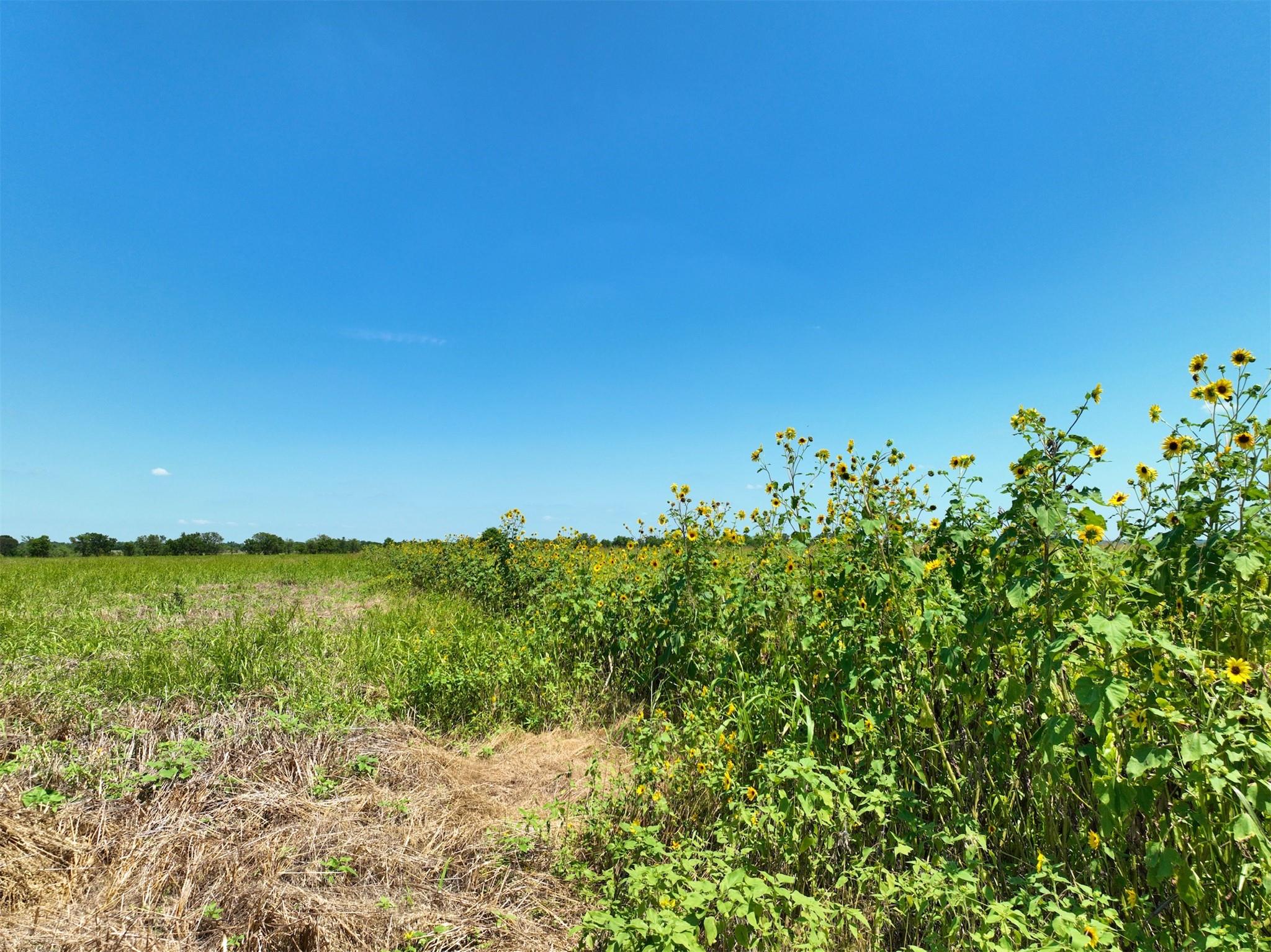 Lot 2 CR 142, Cameron, TX 76520 — photo 1