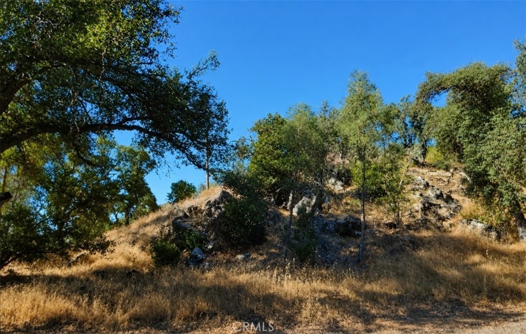 3695 Spring valley rd