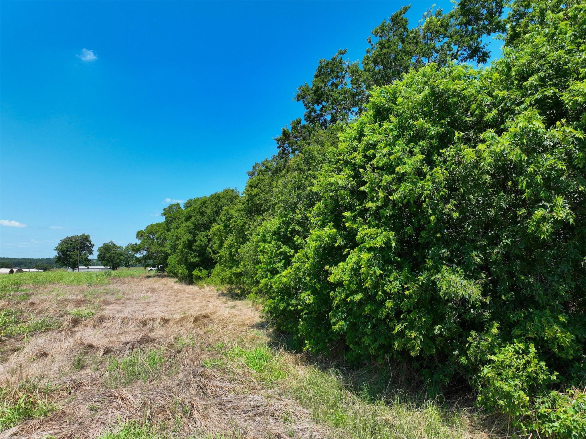 Lot 1 CR 142, Cameron, TX 76520 — photo 1