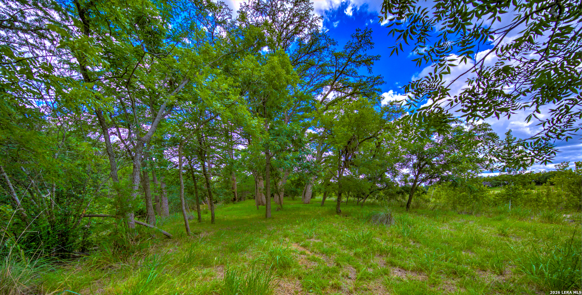 751 Fm 337, , 78055 — photo 1