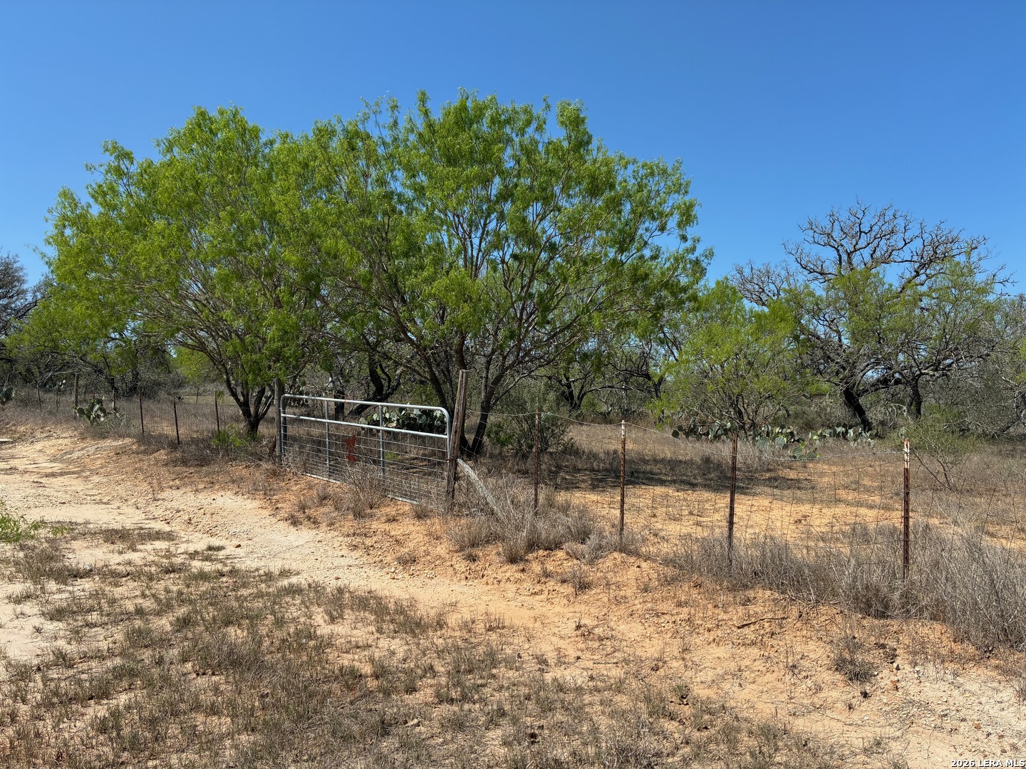 165 Bailee, , 78065 — photo 1