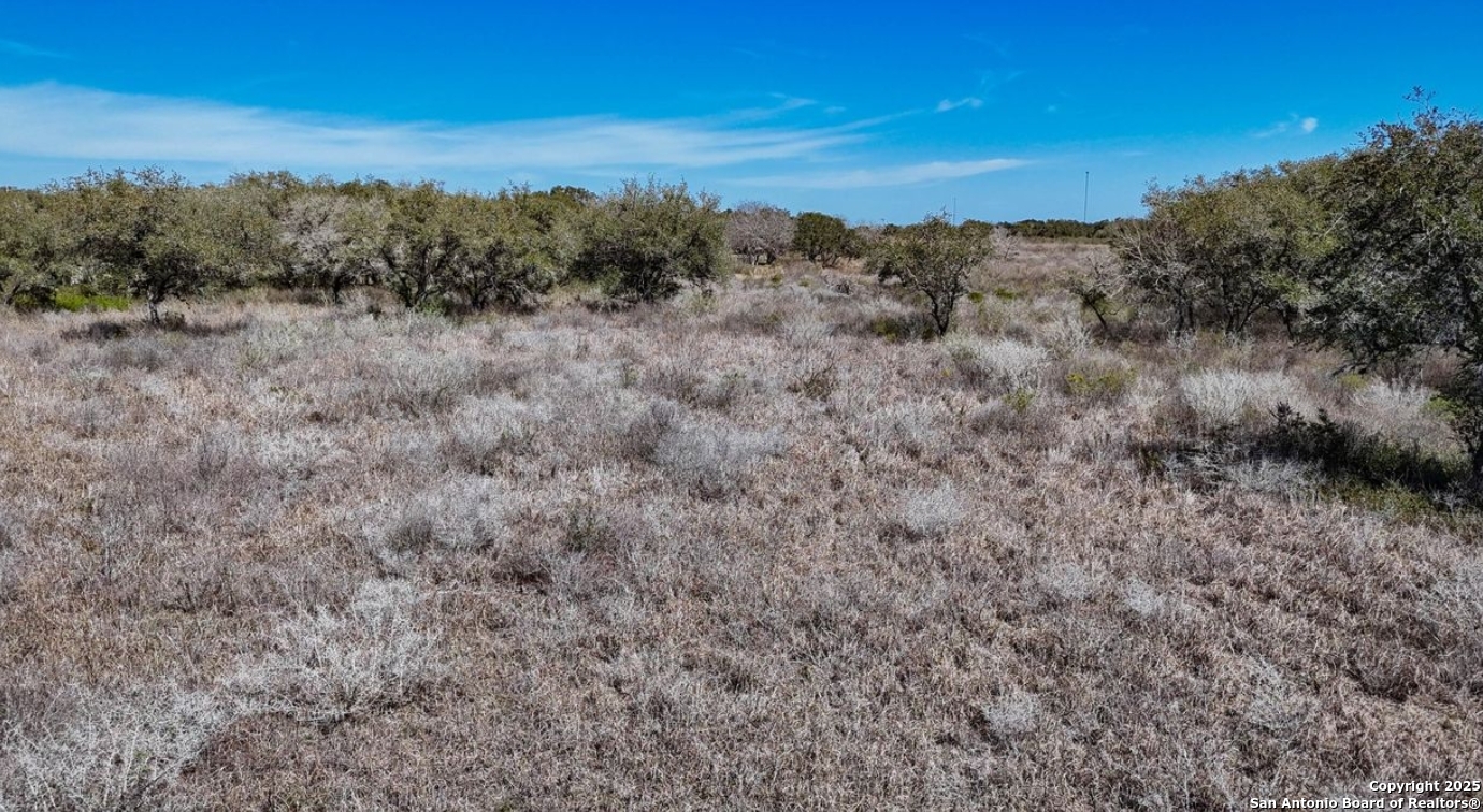 000 FM 351, , 78102 — photo 1