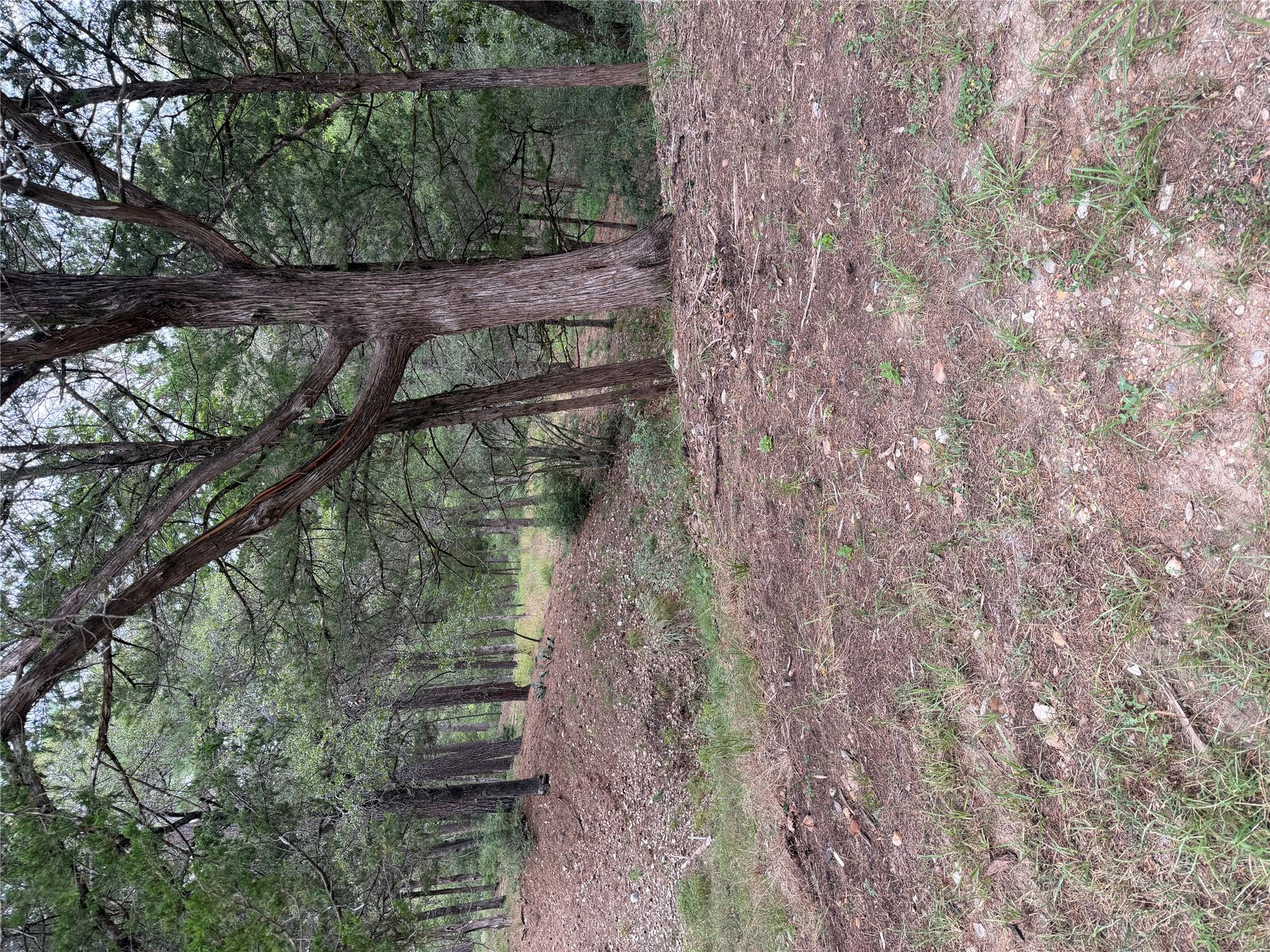 Lot 292 Aka, Bastrop, TX 78602 — photo 1