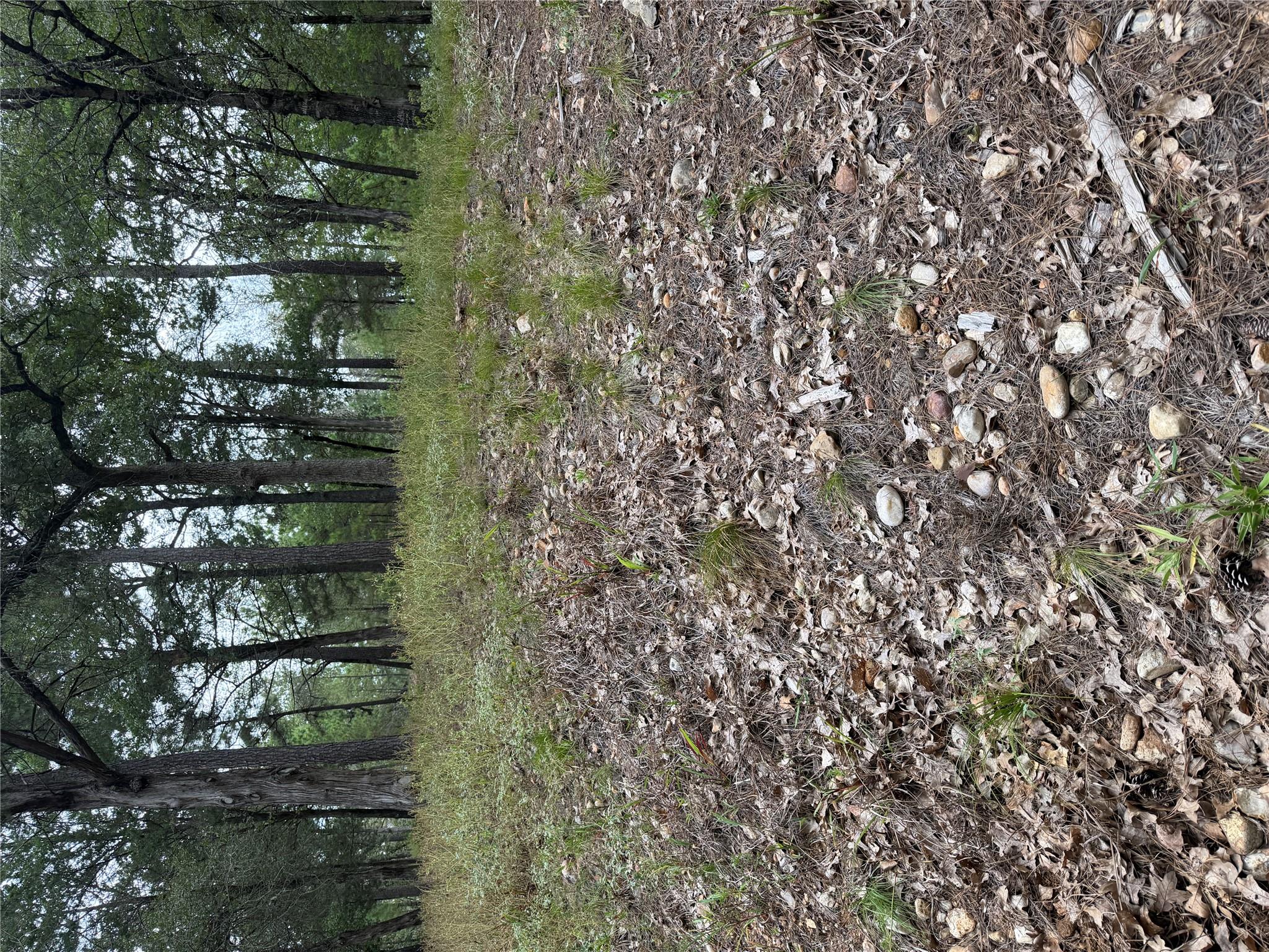 Lot  291 Aka, Bastrop, TX 78602 — photo 1