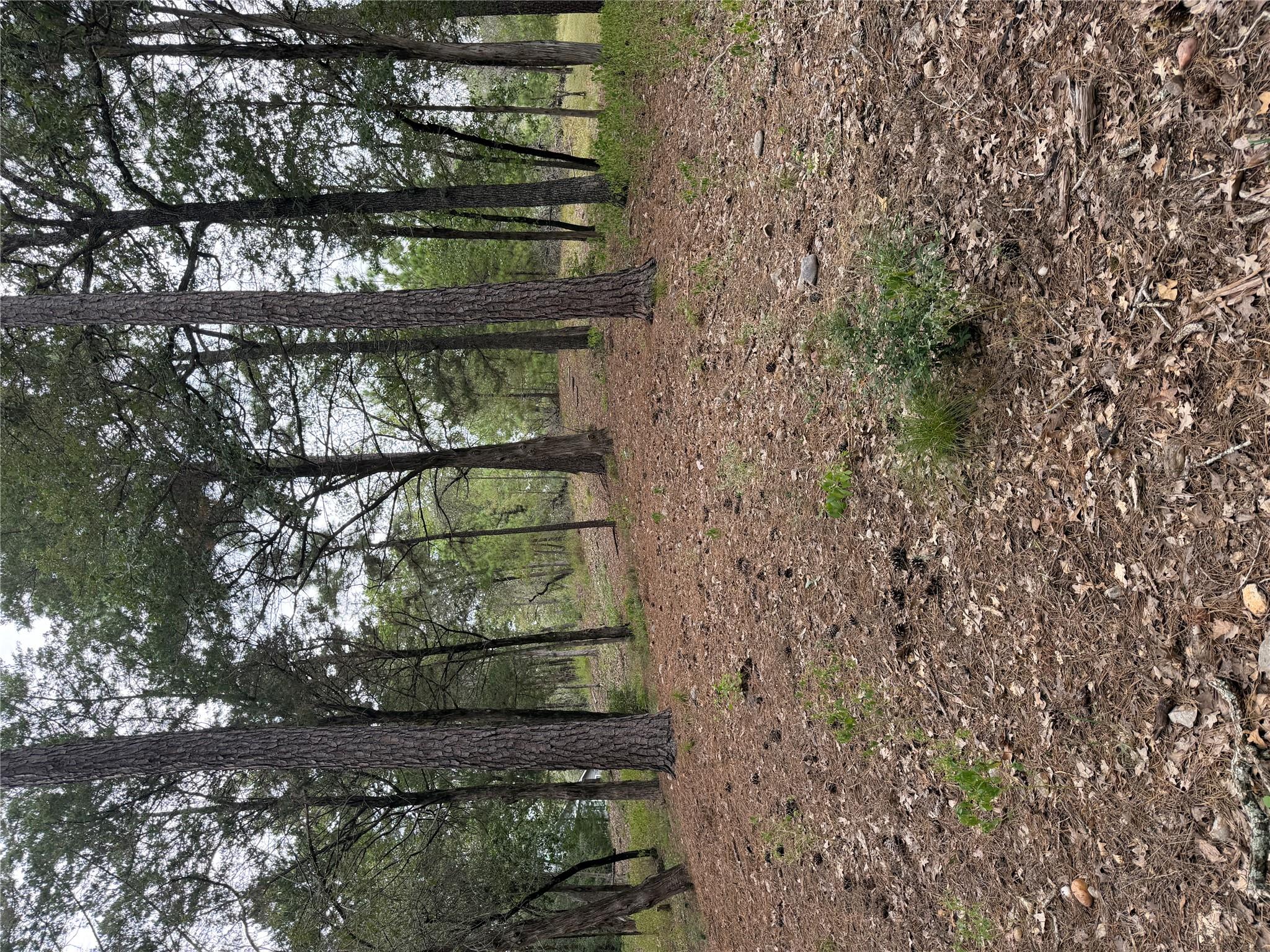 Lot 290 Aka, Bastrop, TX 78602 — photo 1