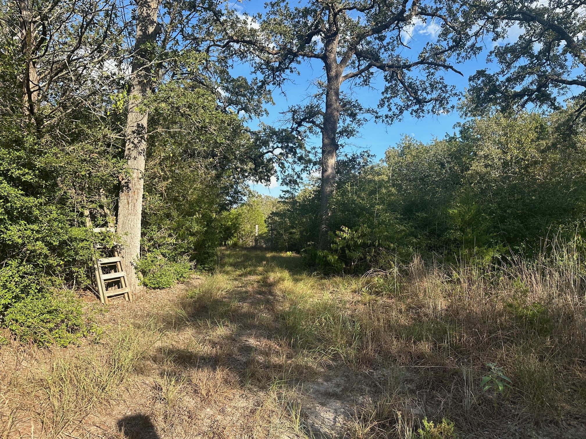 000 Rook, West Point, TX 78963 — photo 1