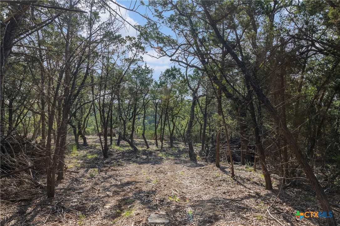 Tract 4 Mount Olive School, Wimberley, TX 78676 — photo 1