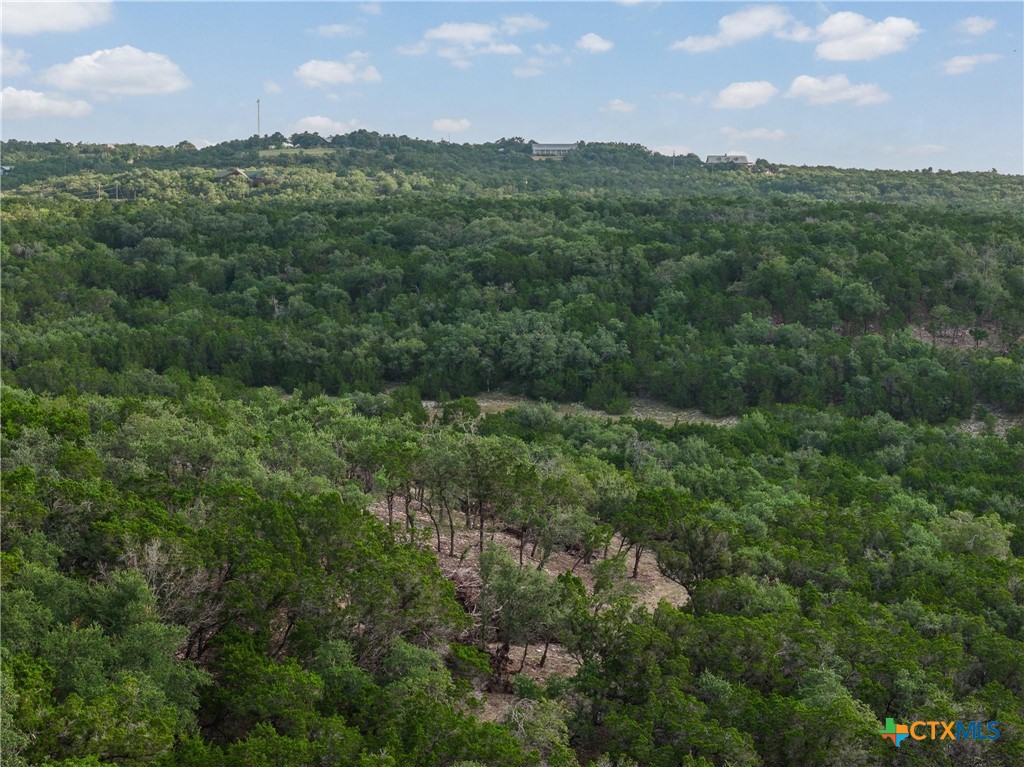 Tract 4 Mount Olive School, Wimberley, TX 78676 — photo 1