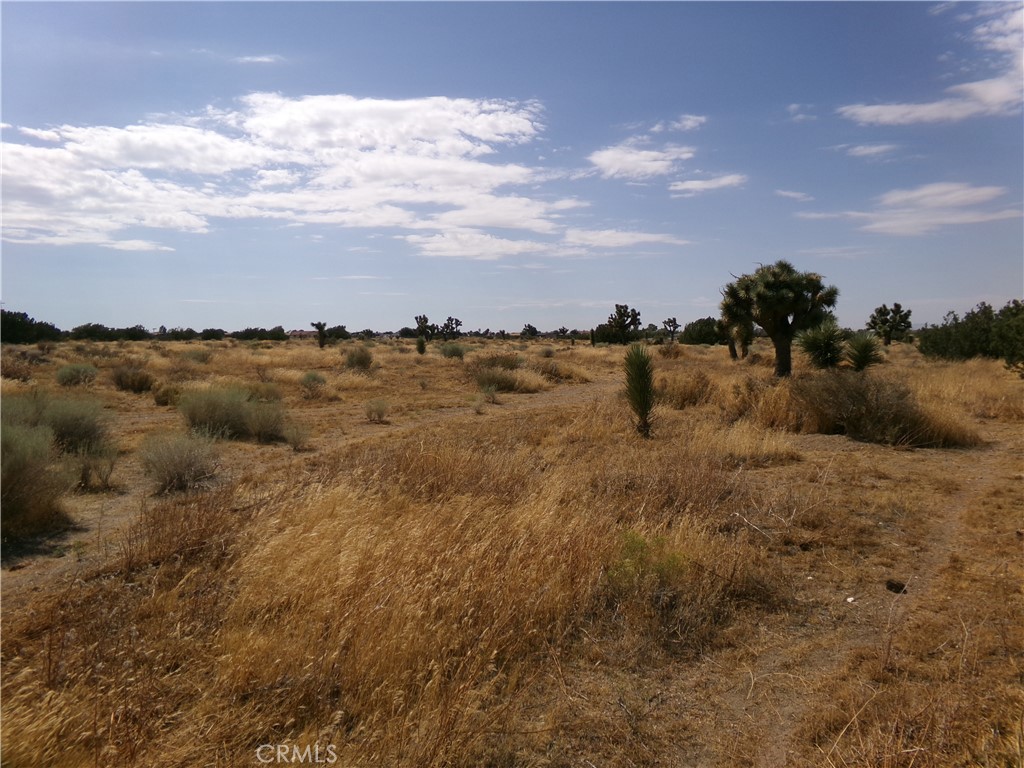 0 Phelan Road, Phelan, CA 92371 — photo 1