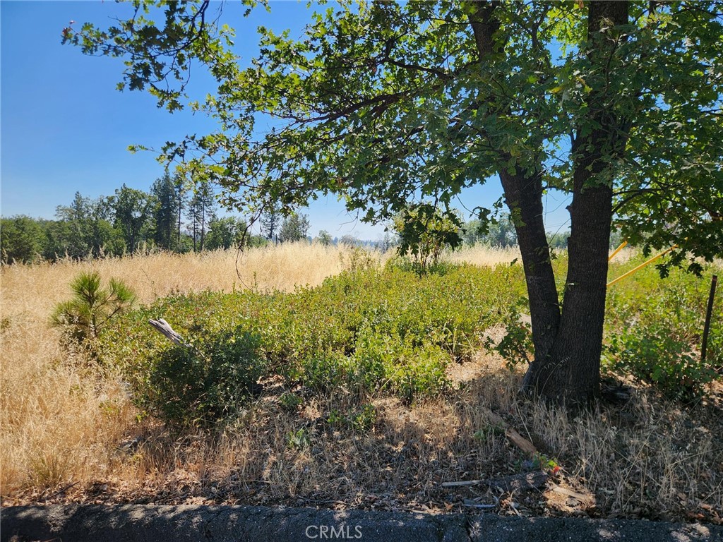 13602 Andover, Magalia, CA 95954 — photo 1