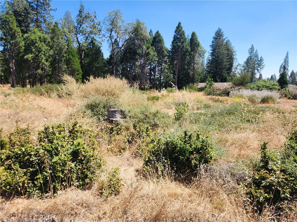 13744 W Park, Magalia, CA 95954 — photo 1
