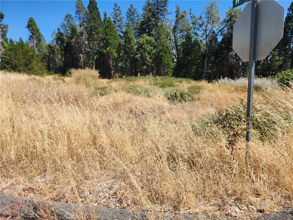 6307 Glendale, Magalia, CA 95954 — photo 1