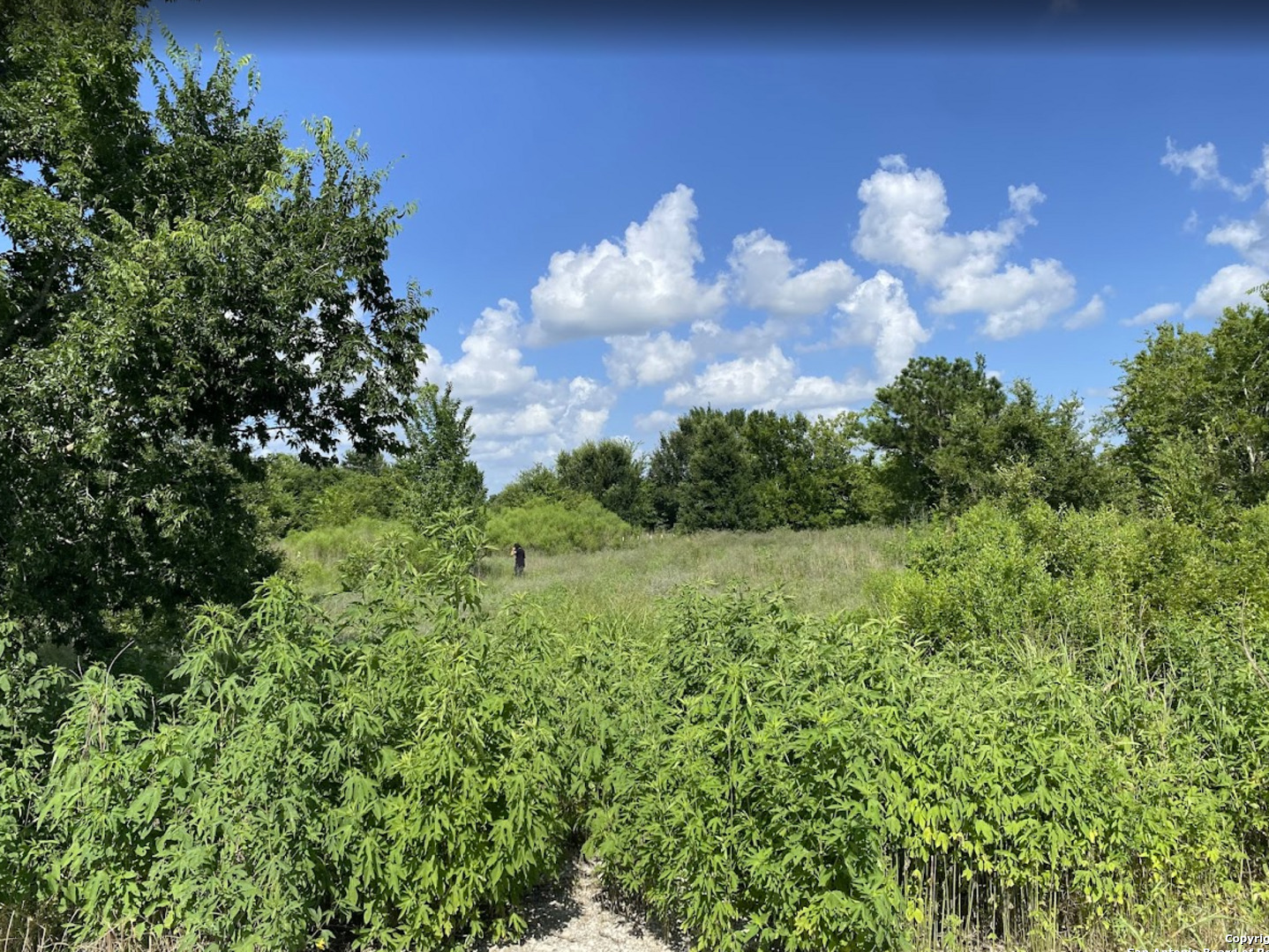 7931 FM 1952, ,  77485 — photo 1