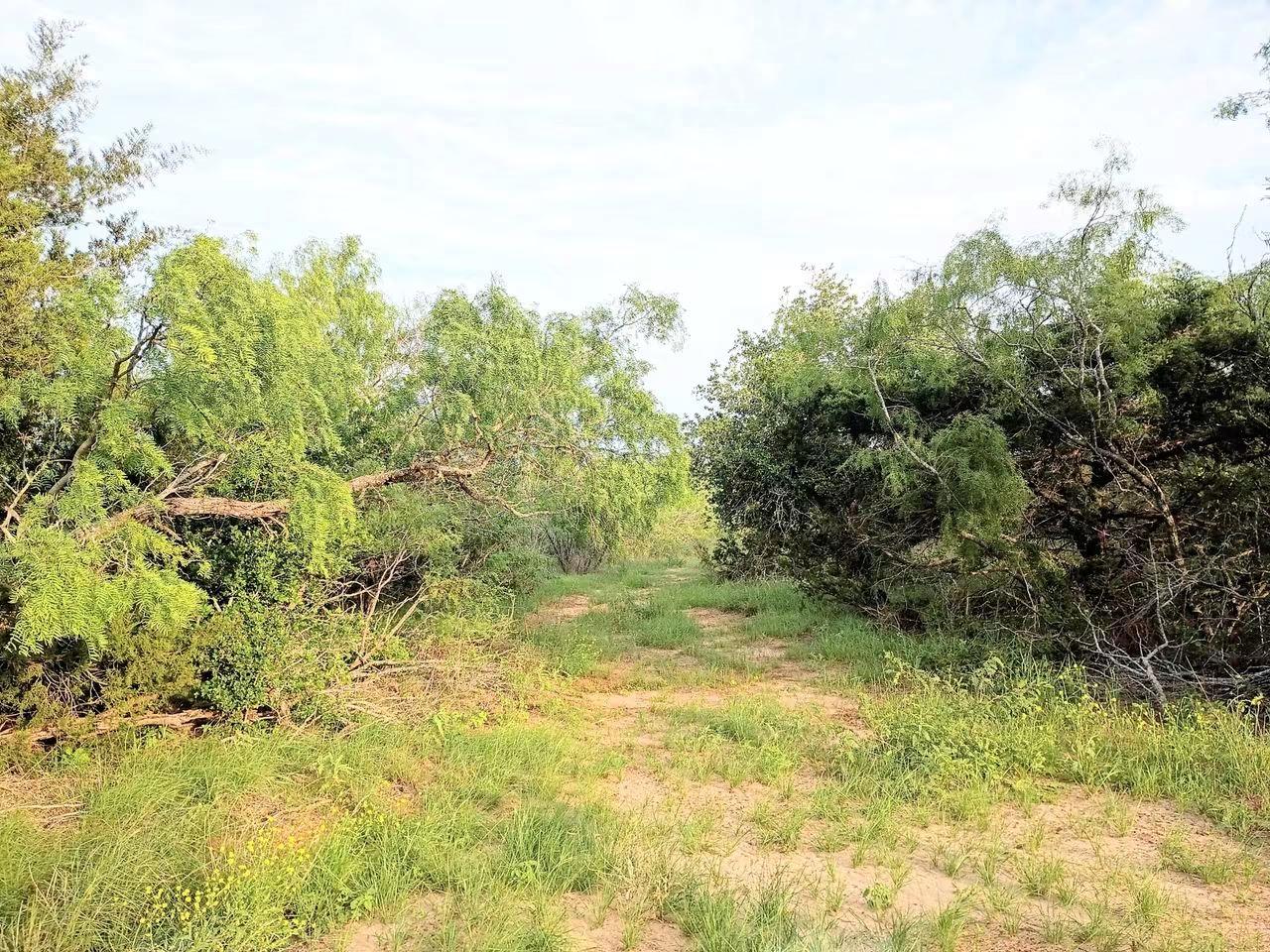 TBD Mesquite, Cedar Creek, TX 78612 — photo 1