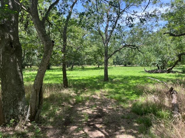 344 & 343 Bateman, Red Rock, TX 78662 — photo 1