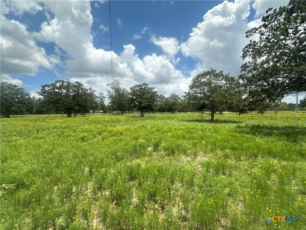 3351 I 10 Frontage, Flatonia, TX 78941 — photo 1