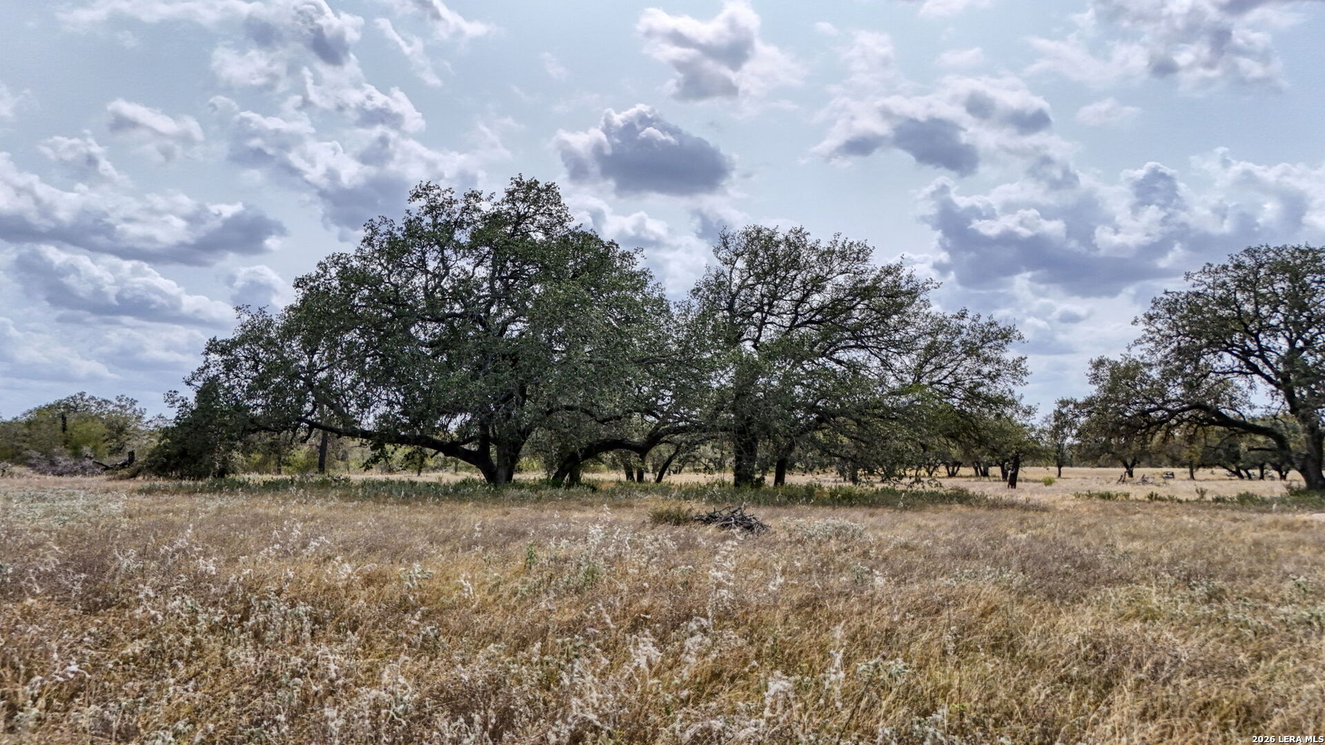 8651 FM 476, ,  78065 — photo 1