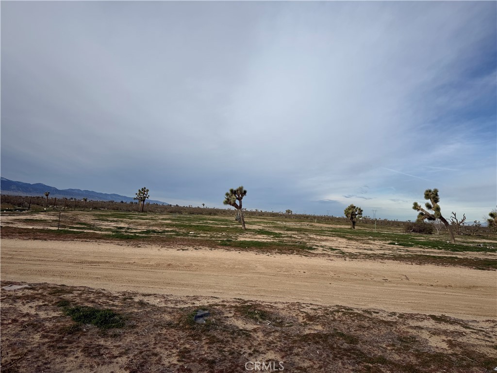 14650 Manada, Phelan, CA 92371 — photo 1